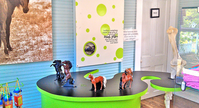 cwhf-museumstore-3
