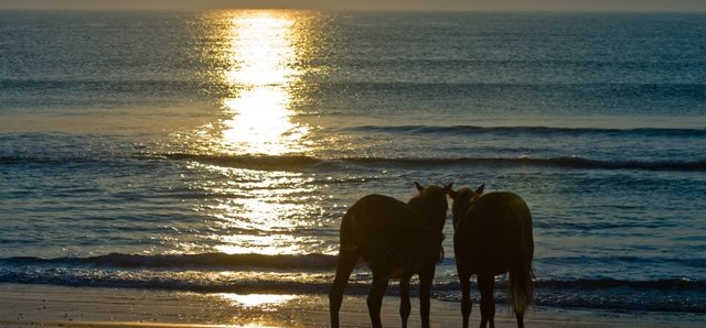 Two by the ocean sunrise