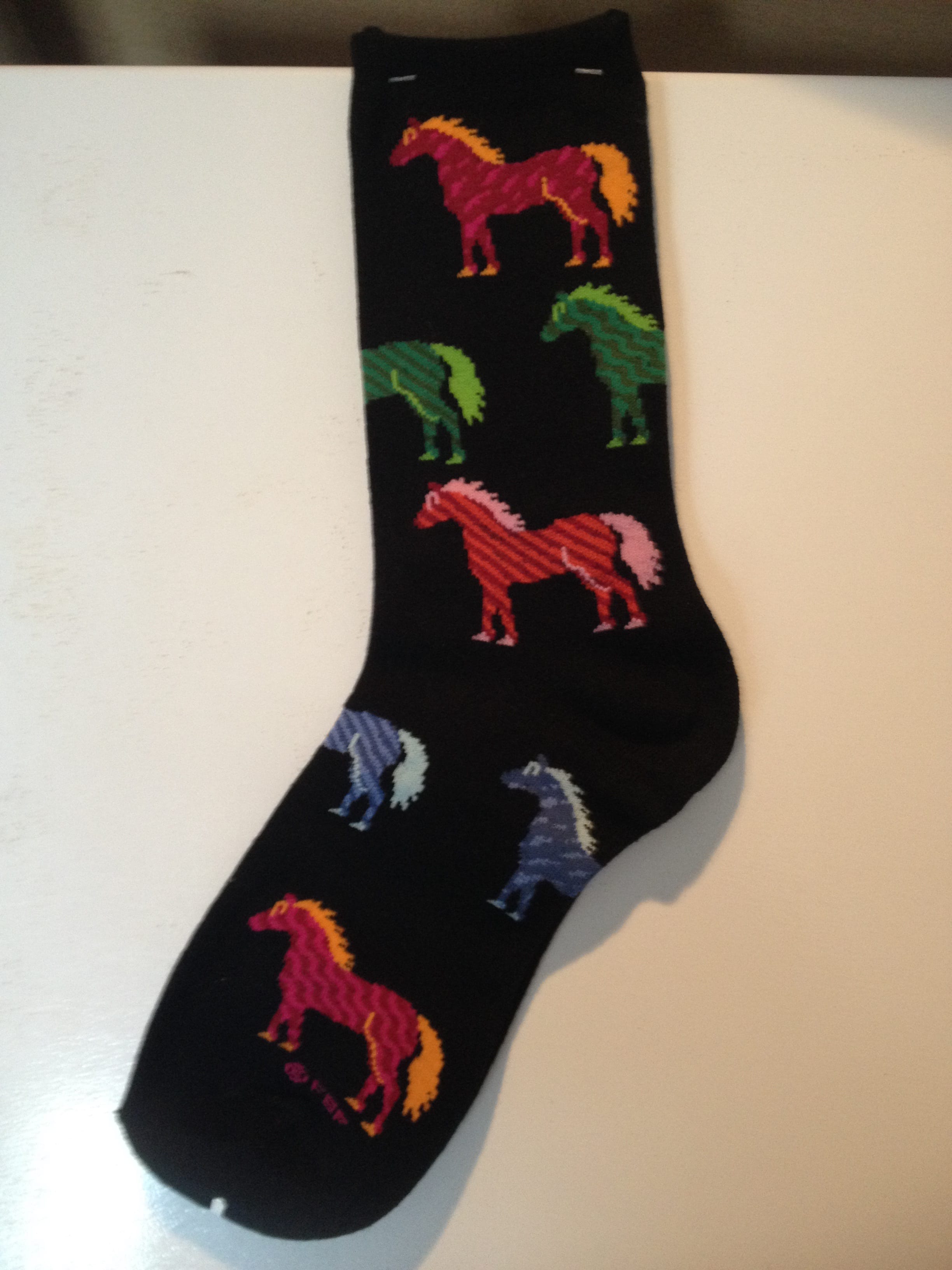 Socks A Horse of a Different Color! Corolla Wild Horse Fund