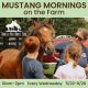 Corolla Wild Horse Fund Mustang Mornings event