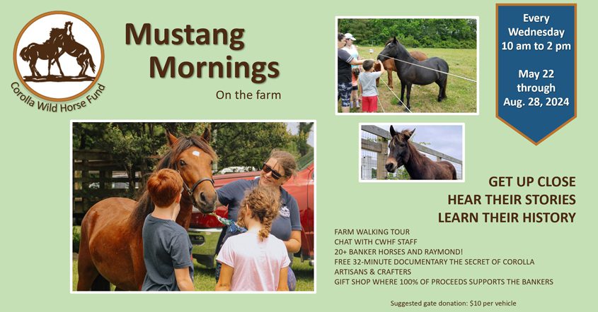 Corolla Wild Horse Fund Mustang Mornings event