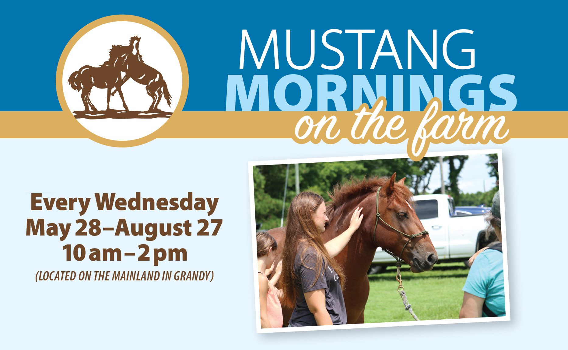 Corolla Wild Horse Fund Mustang Mornings event