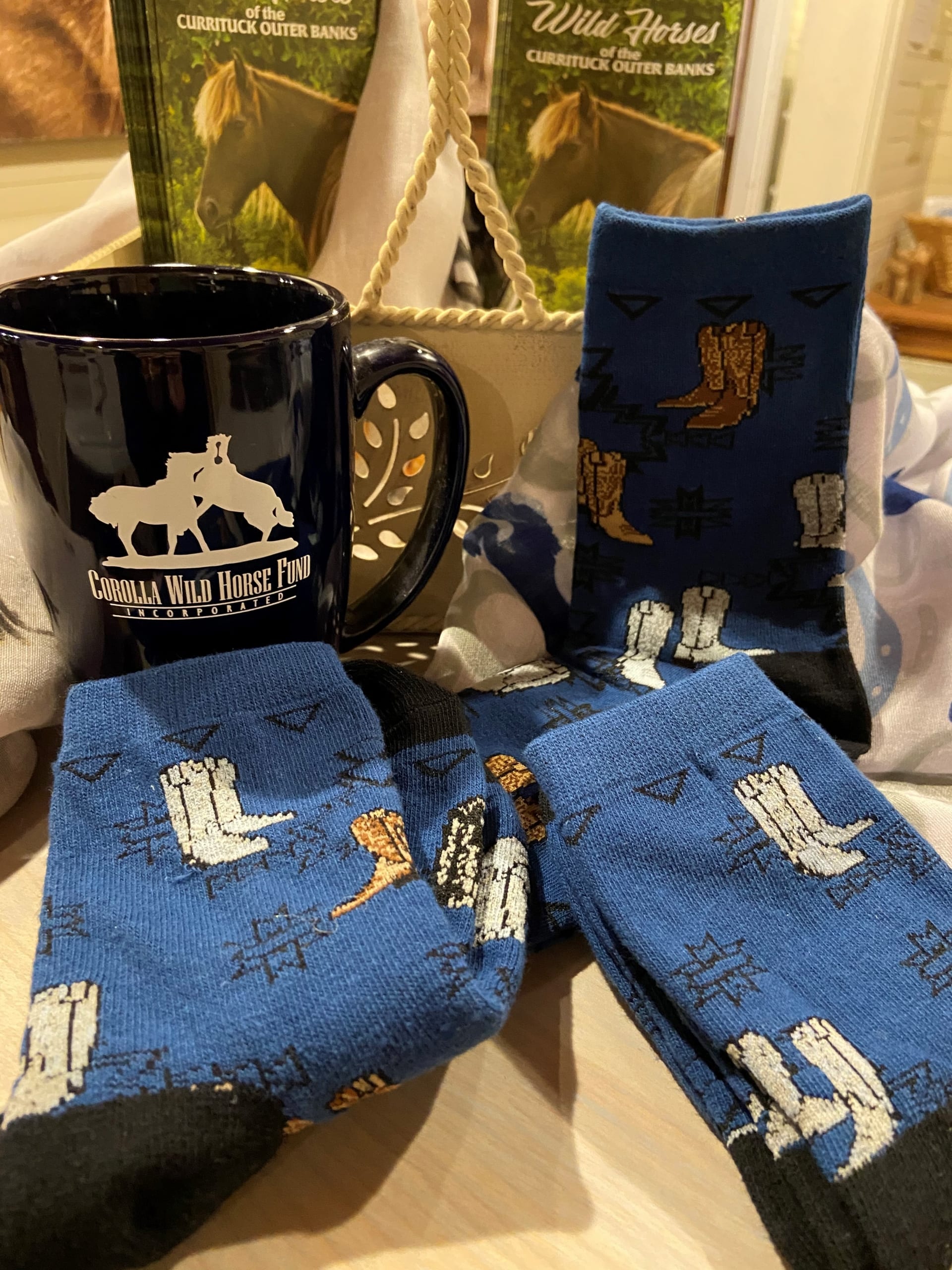 Boota4 - Corolla Wild Horse Fund