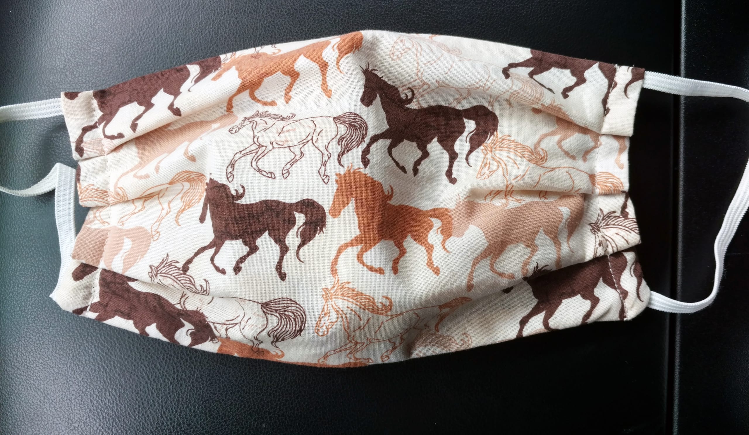 Face Masks with Horses! Corolla Wild Horse Fund