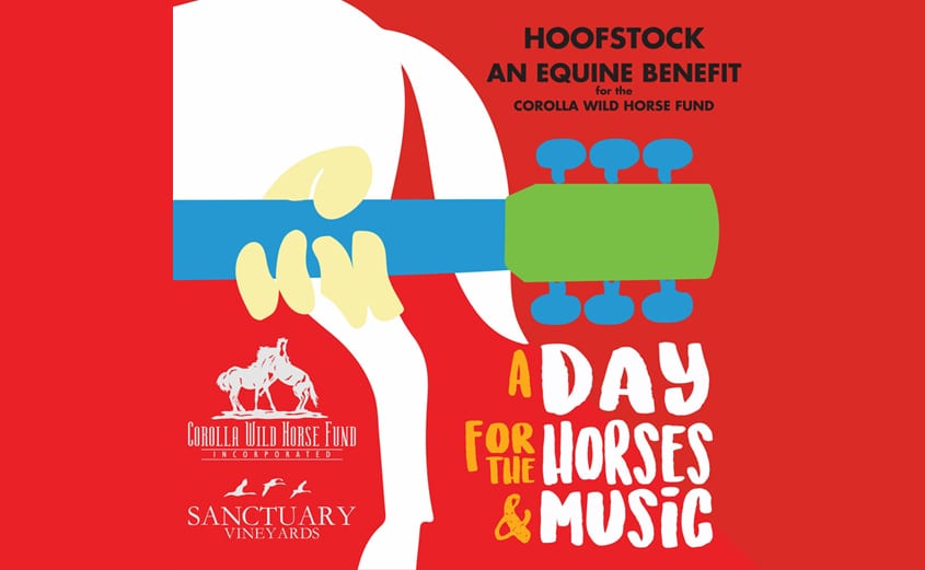 Hoofstock CWHF Equine Benefit