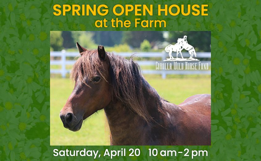 Corolla Wild Horse Fund Spring Open House event
