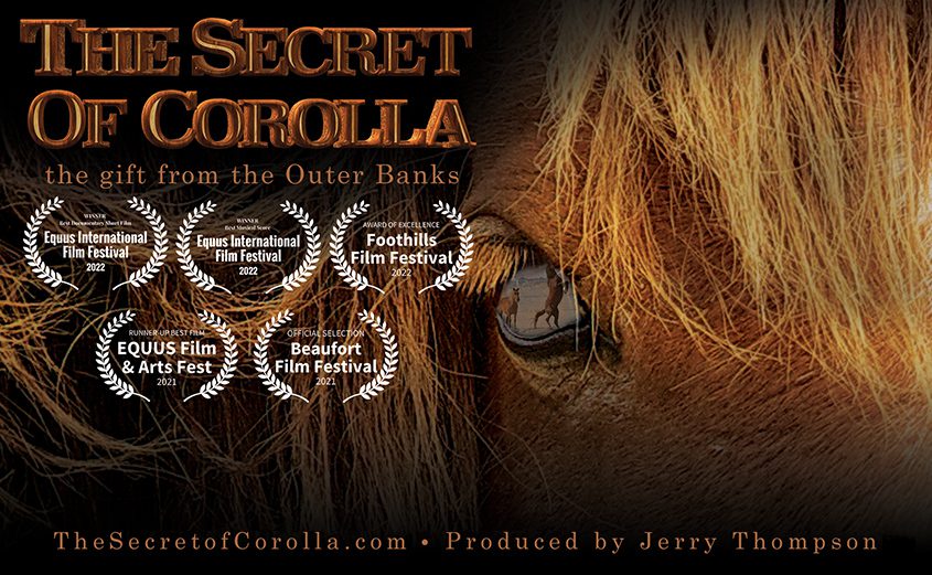 købmand Titicacasøen Dwell Outer Banks wild horse film wins honors at EQUUS arts fest | Corolla Wild  Horses | Corolla Wild Horse Fund