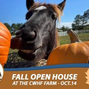Fall Open House at the CWHF Farm Event - October 14th