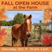 Fall Open House at the CWHF Farm Event - October 11th, 2025