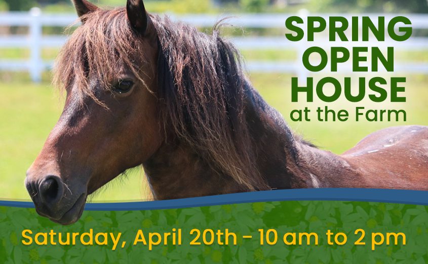 Spring Open House at the CWHF Farm Event - April 20 2024