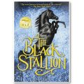 Black Stallion Horse and Book