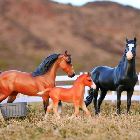 Spanish Mustang Family 1