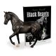 Black Beauty and Book