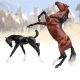 Wild and Free Horse and Foal Set 2