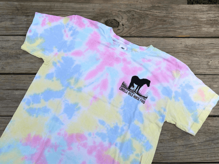 Mustang on the Dune Youth Short Sleeve