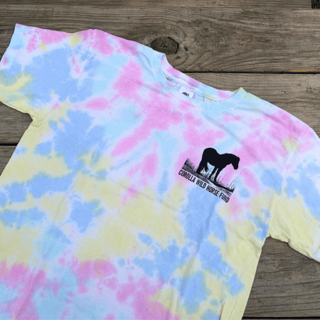 Mustang on the Dune Youth Short Sleeve