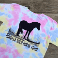 Mustang on the Dune Youth Short Sleeve
