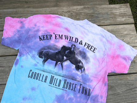 Wild and Free Cotton Candy Tie Dye Adult Short Sleeve