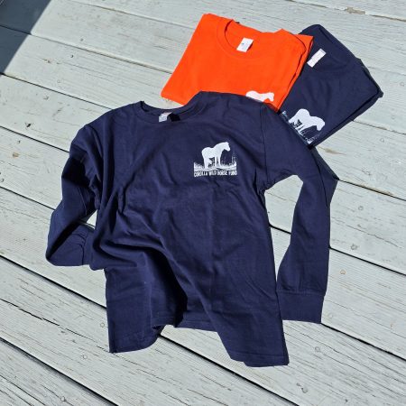 Childrens Mustang on the Dune Long Sleeve T-shirt Front