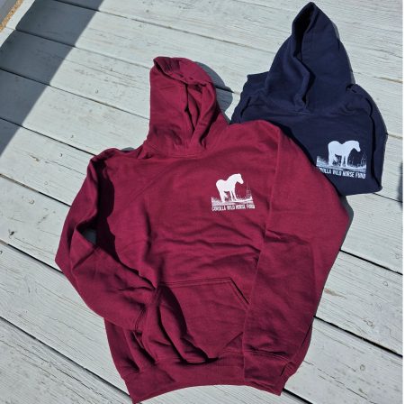 Childrens Mustang on the Dunes Hoodie Front