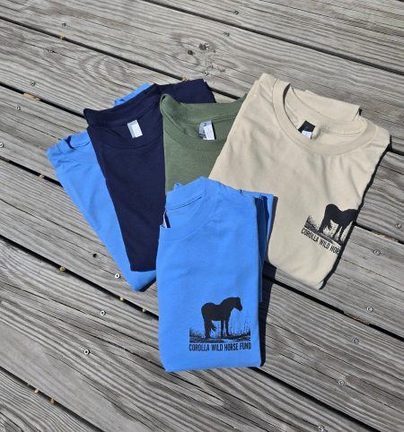 Mustang on the Dune Long Sleeve Front