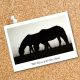 Postcard 7065