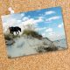 Postcard 8500