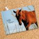 Postcard 8501