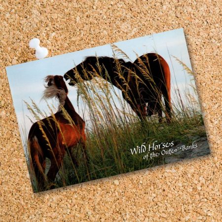 Postcard 8506