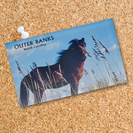 Postcard 8510