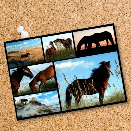 Postcard 8532