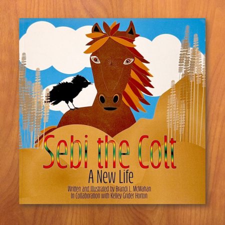 Sebi the Colt book