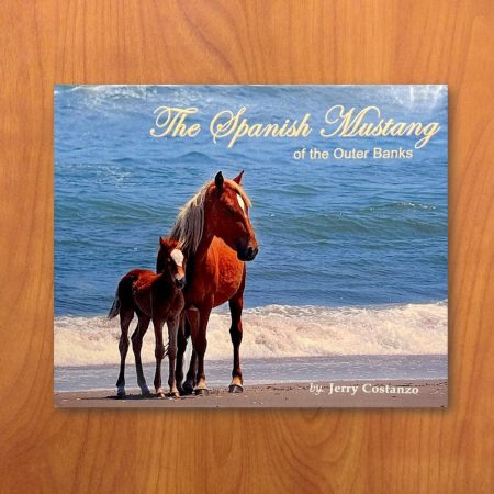 The Spanish Mustang Book