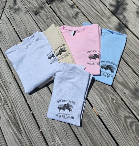 T-shirt Wild and Free Long Sleeve Front