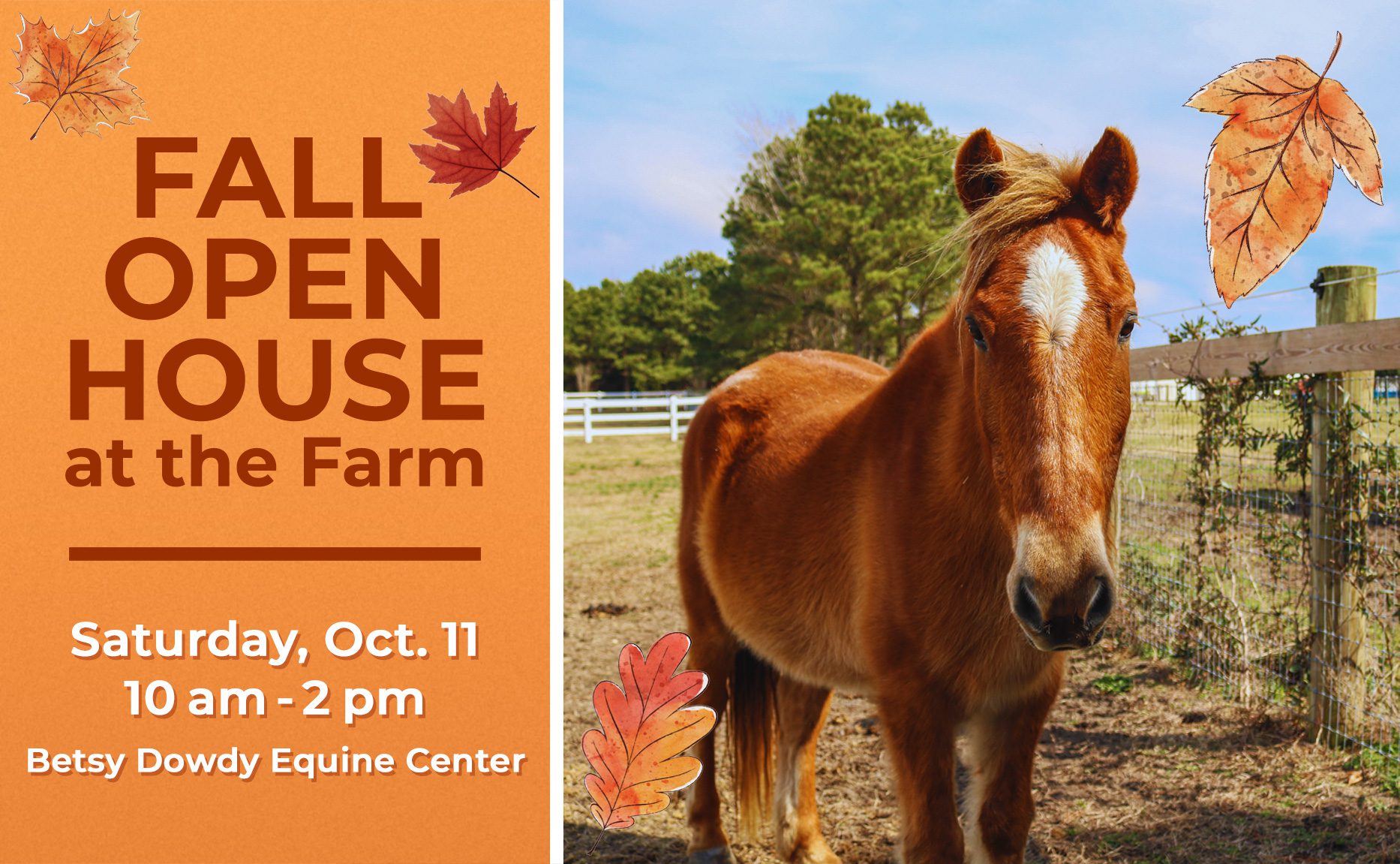 Fall Open House at the CWHF Farm Event - October 12th