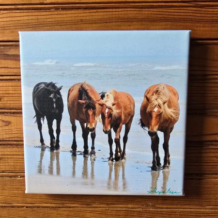 four in a row on the beach