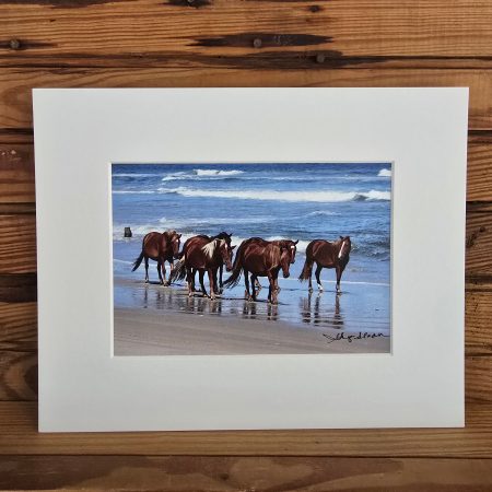 Harem on the beach matted