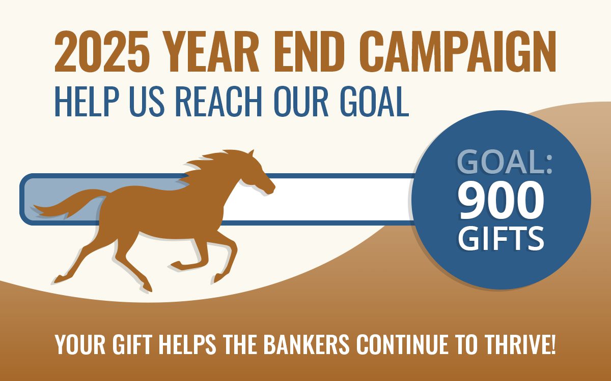 CWHF 2025 Year End Campaign