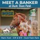 Meet a CWHF Banker Horse at Duck Town Park Event