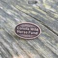 CWHF Lapel Pin
