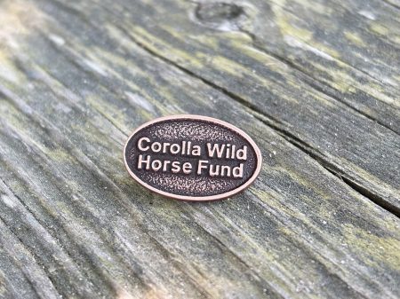 CWHF Lapel Pin