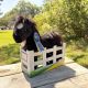 Plush 13" Thoroughbred Black