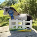 Plush 13" Welsh Cob