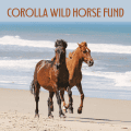 CWHF Post Card 001