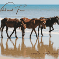CWHF Post Card 002