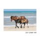 5x7 CWHF #19