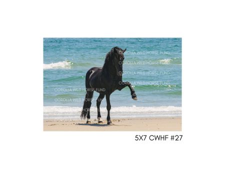 5x7 CWHF #27