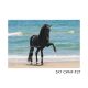 5x7 CWHF #27