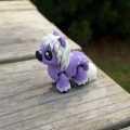 Miniature Pony