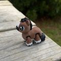 Miniature Pony